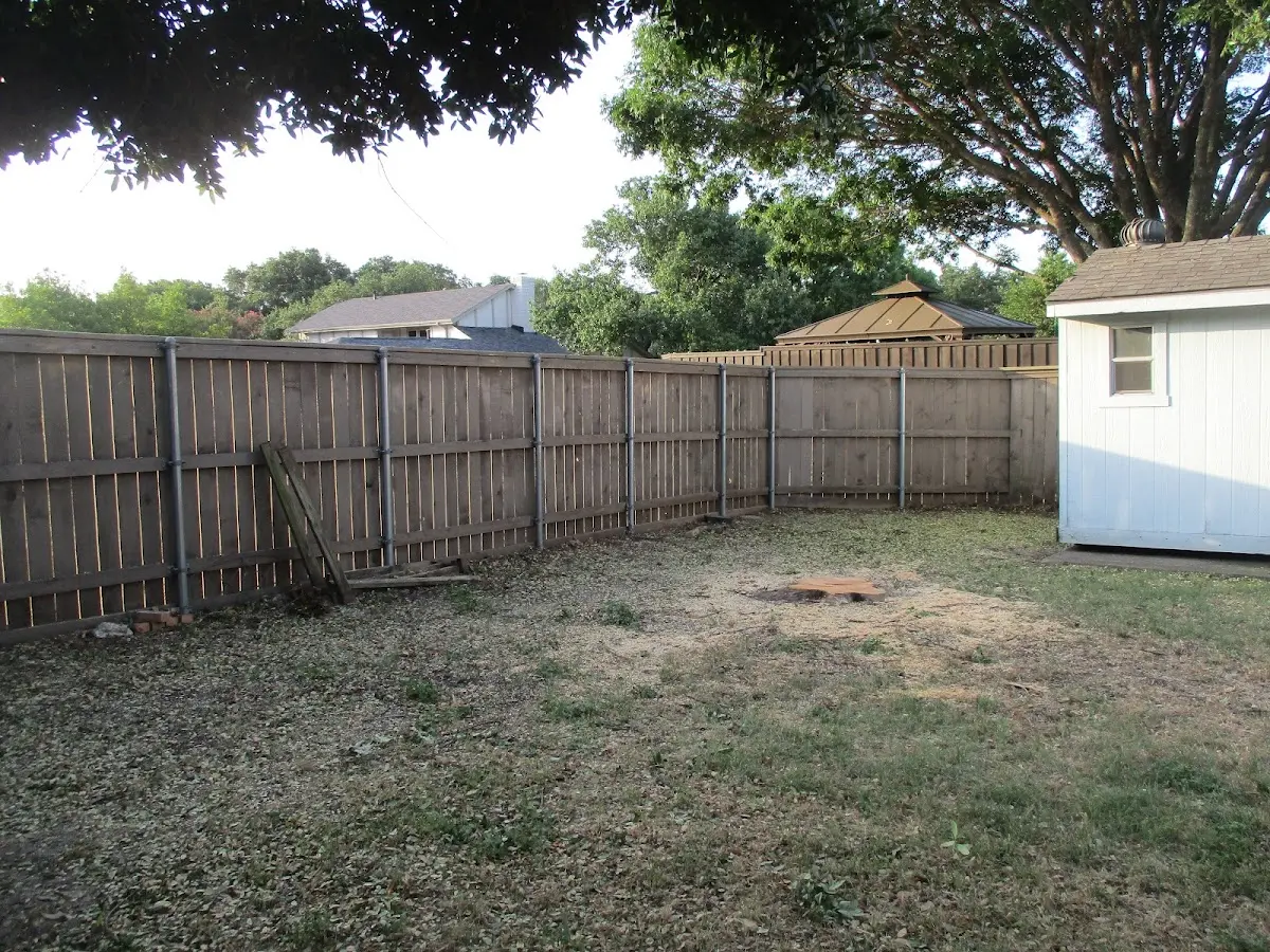 Cleared yard after professional tree removal in Calumet City